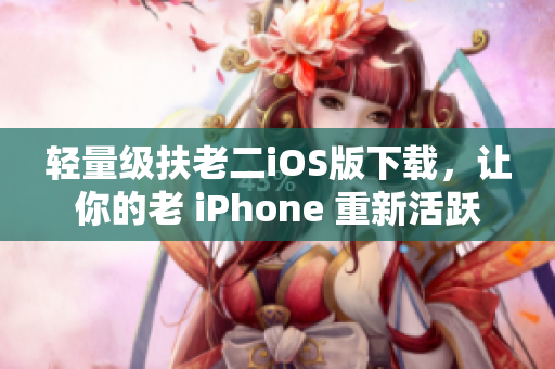 轻量级扶老二iOS版下载，让你的老 iPhone 重新活跃
