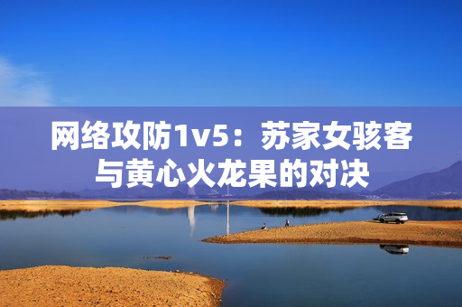 网络攻防1v5：苏家女骇客与黄心火龙果的对决