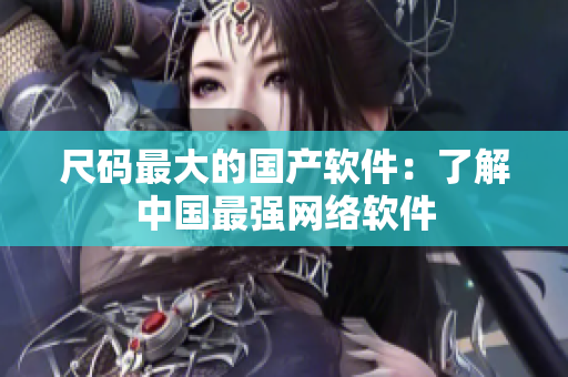 尺码最大的国产软件：了解中国最强网络软件
