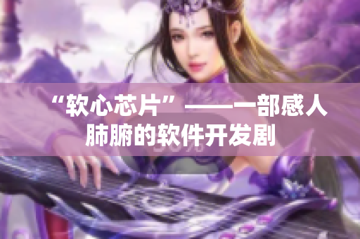 “软心芯片”——一部感人肺腑的软件开发剧