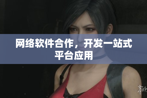 网络软件合作，开发一站式平台应用