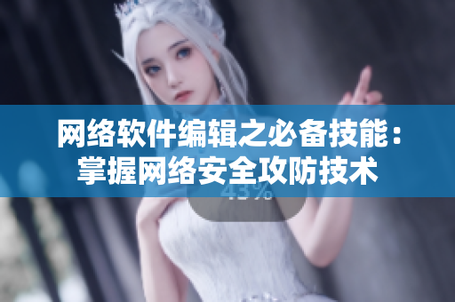 网络软件编辑之必备技能：掌握网络安全攻防技术