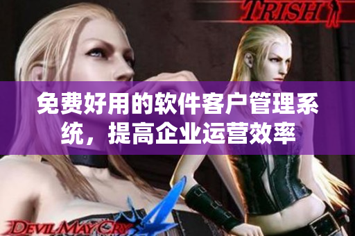 免费好用的软件客户管理系统，提高企业运营效率