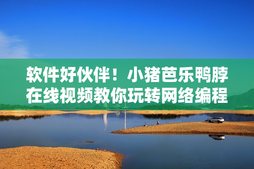 软件好伙伴！小猪芭乐鸭脖在线视频教你玩转网络编程