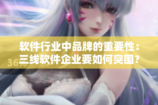 软件行业中品牌的重要性：三线软件企业要如何突围？