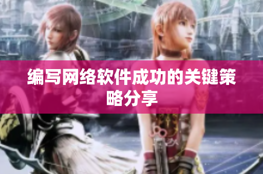 编写网络软件成功的关键策略分享