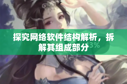 探究网络软件结构解析，拆解其组成部分