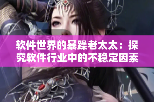 软件世界的暴躁老太太：探究软件行业中的不稳定因素