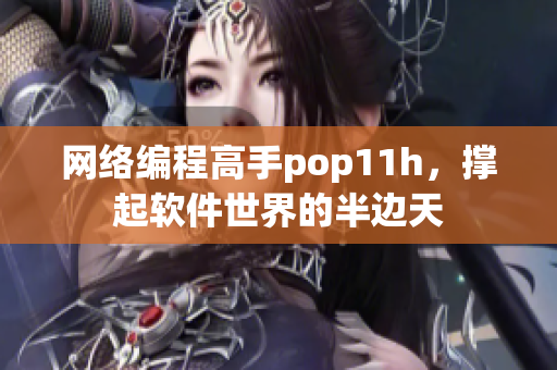 网络编程高手pop11h，撑起软件世界的半边天