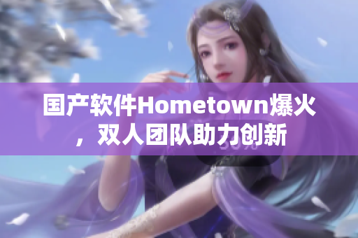 国产软件Hometown爆火，双人团队助力创新