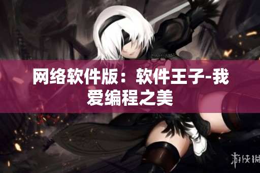网络软件版：软件王子-我爱编程之美
