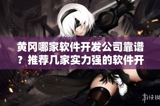 黄冈哪家软件开发公司靠谱？推荐几家实力强的软件开发团队