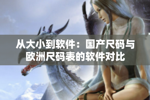 从大小到软件：国产尺码与欧洲尺码表的软件对比