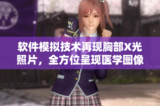 软件模拟技术再现胸部X光照片，全方位呈现医学图像
