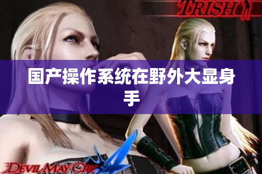 国产操作系统在野外大显身手