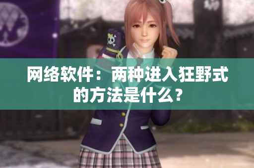 网络软件：两种进入狂野式的方法是什么？