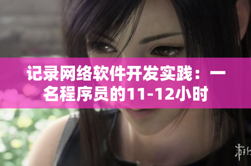 记录网络软件开发实践：一名程序员的11-12小时