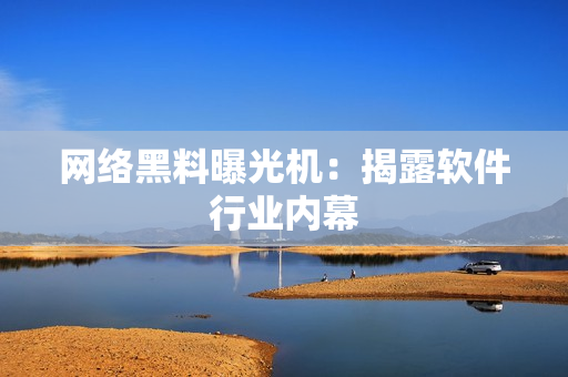 网络黑料曝光机：揭露软件行业内幕