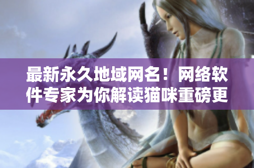 最新永久地域网名！网络软件专家为你解读猫咪重磅更新！