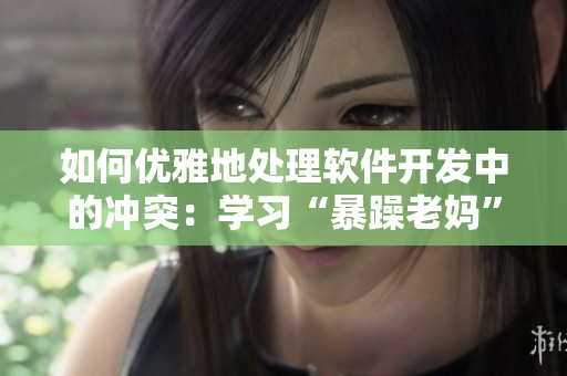 如何优雅地处理软件开发中的冲突：学习“暴躁老妈”的解决方案