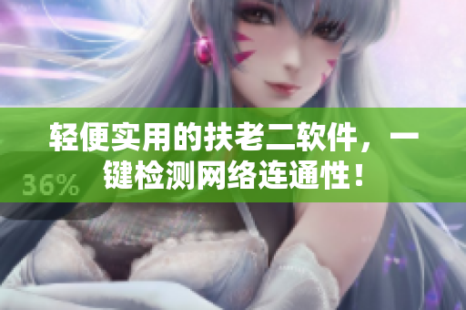 轻便实用的扶老二软件，一键检测网络连通性！
