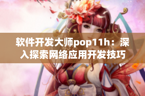 软件开发大师pop11h：深入探索网络应用开发技巧