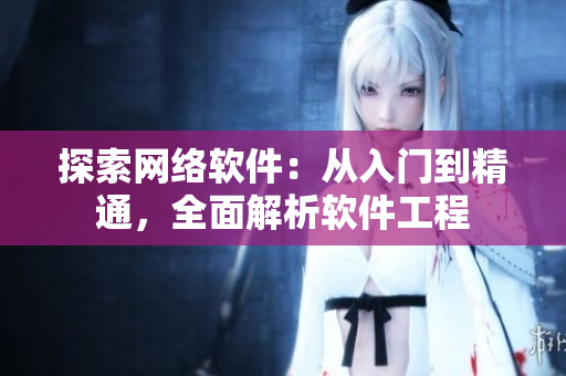 探索网络软件：从入门到精通，全面解析软件工程