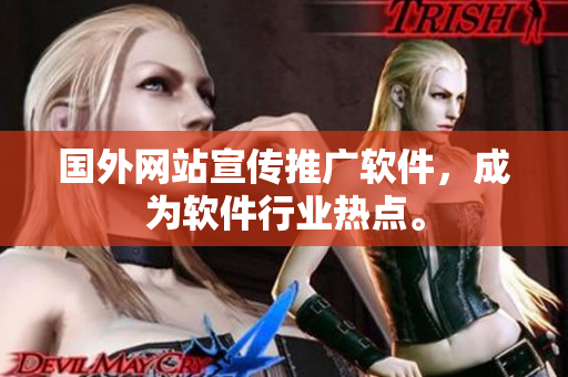 国外网站宣传推广软件，成为软件行业热点。