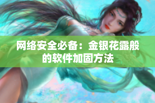 网络安全必备：金银花露般的软件加固方法