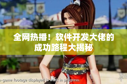全网热播！软件开发大佬的成功路程大揭秘