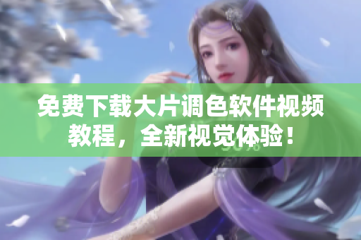 免费下载大片调色软件视频教程，全新视觉体验！