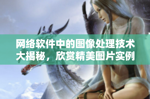 网络软件中的图像处理技术大揭秘，欣赏精美图片实例