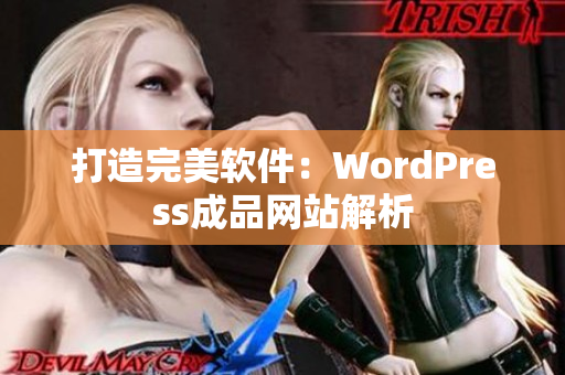 打造完美软件：WordPress成品网站解析