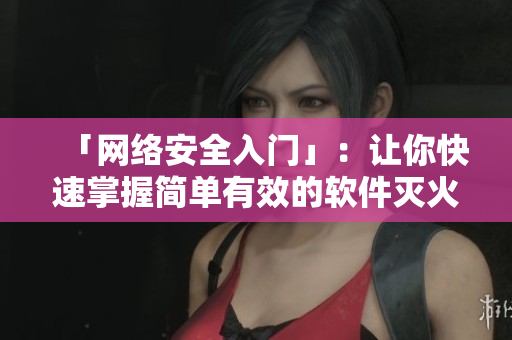 「网络安全入门」：让你快速掌握简单有效的软件灭火技巧