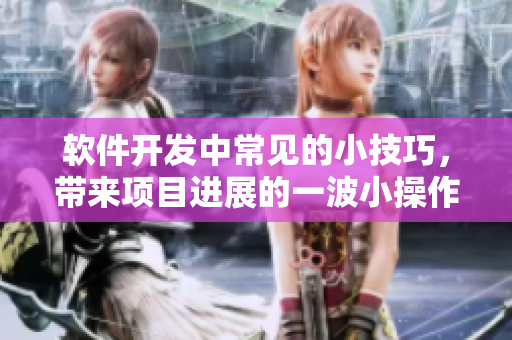 软件开发中常见的小技巧，带来项目进展的一波小操作！