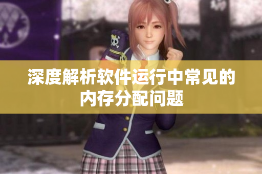 深度解析软件运行中常见的内存分配问题