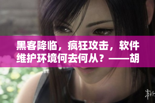 黑客降临，疯狂攻击，软件维护环境何去何从？——胡桃入夜狂飙