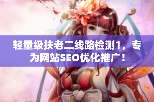 轻量级扶老二线路检测1，专为网站SEO优化推广！