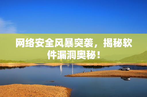 网络安全风暴突袭，揭秘软件漏洞奥秘！