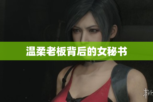 温柔老板背后的女秘书