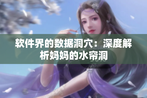 软件界的数据洞穴：深度解析妈妈的水帘洞