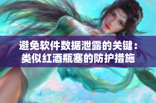 避免软件数据泄露的关键：类似红酒瓶塞的防护措施