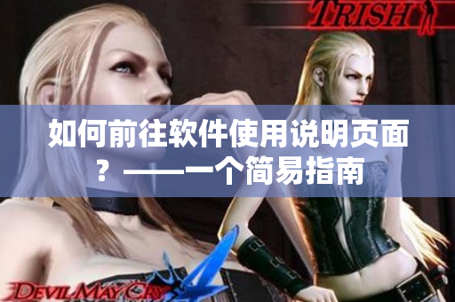 如何前往软件使用说明页面？——一个简易指南