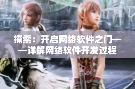 探索：开启网络软件之门——详解网络软件开发过程