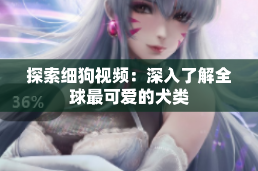 探索细狗视频：深入了解全球最可爱的犬类