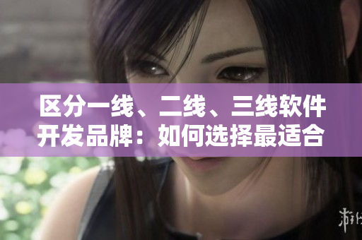 区分一线、二线、三线软件开发品牌：如何选择最适合你的品牌？