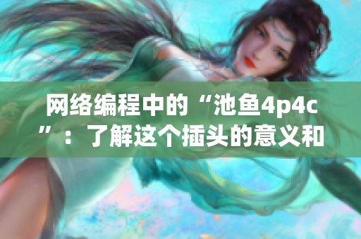 网络编程中的“池鱼4p4c”：了解这个插头的意义和应用