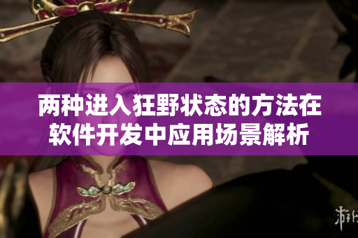 两种进入狂野状态的方法在软件开发中应用场景解析