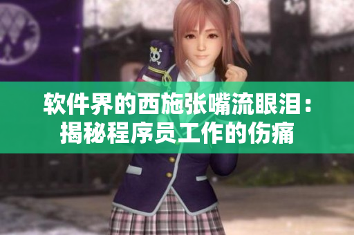 软件界的西施张嘴流眼泪：揭秘程序员工作的伤痛
