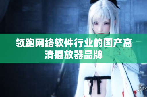 领跑网络软件行业的国产高清播放器品牌